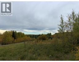 Highway 16 And Range Road 184, Rural Yellowhead County, AB T7E3B4 Photo 7