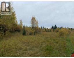 Highway 16 And Range Road 184, Rural Yellowhead County, AB T7E3B4 Photo 17