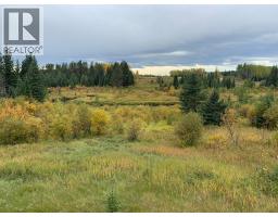 Highway 16 And Range Road 184, Rural Yellowhead County, AB T7E3B4 Photo 20