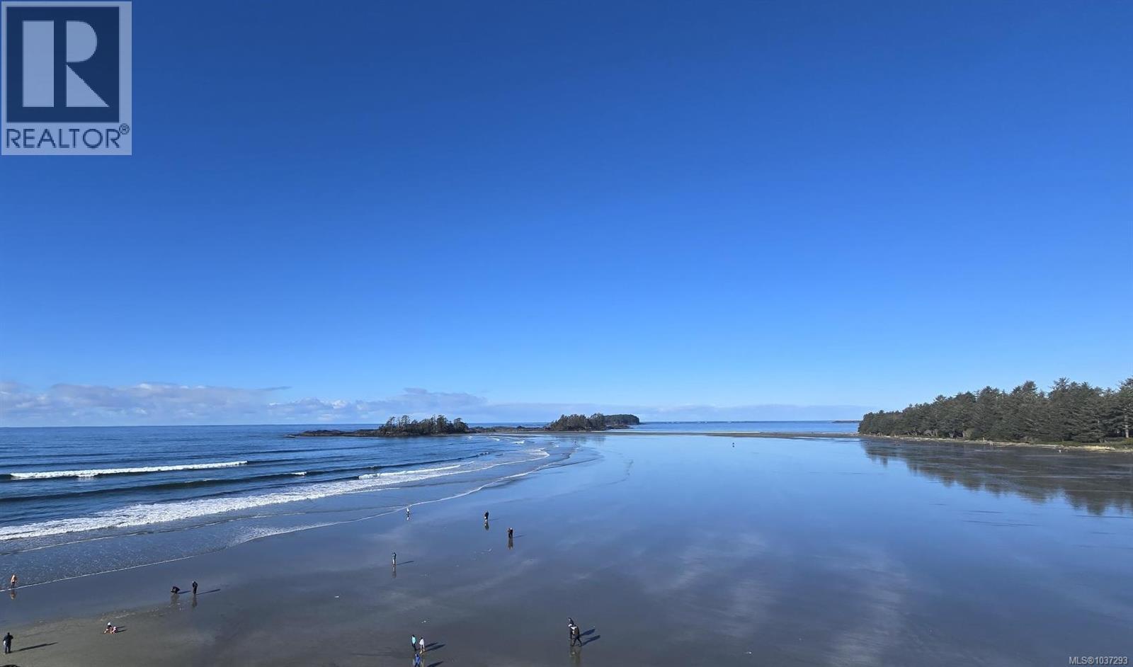 1334 Chesterman Beach Rd - 38