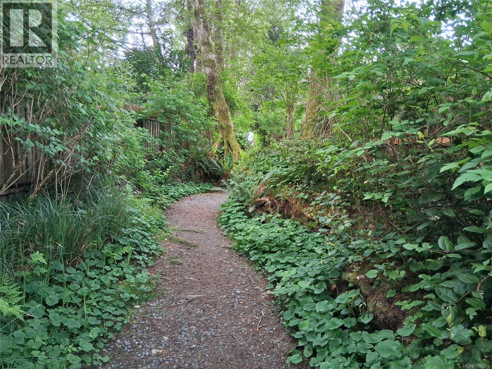 1334 Chesterman Beach Rd - 35