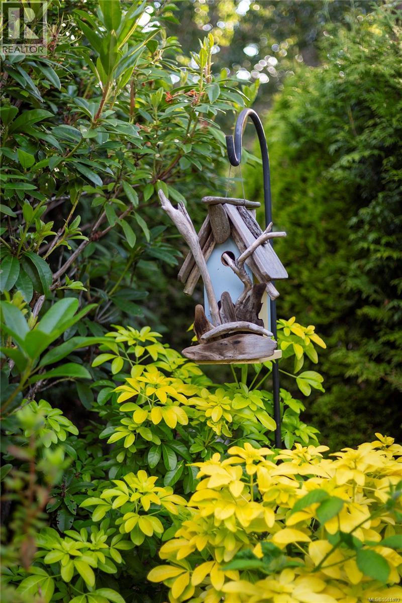 586 Island Rd - 35