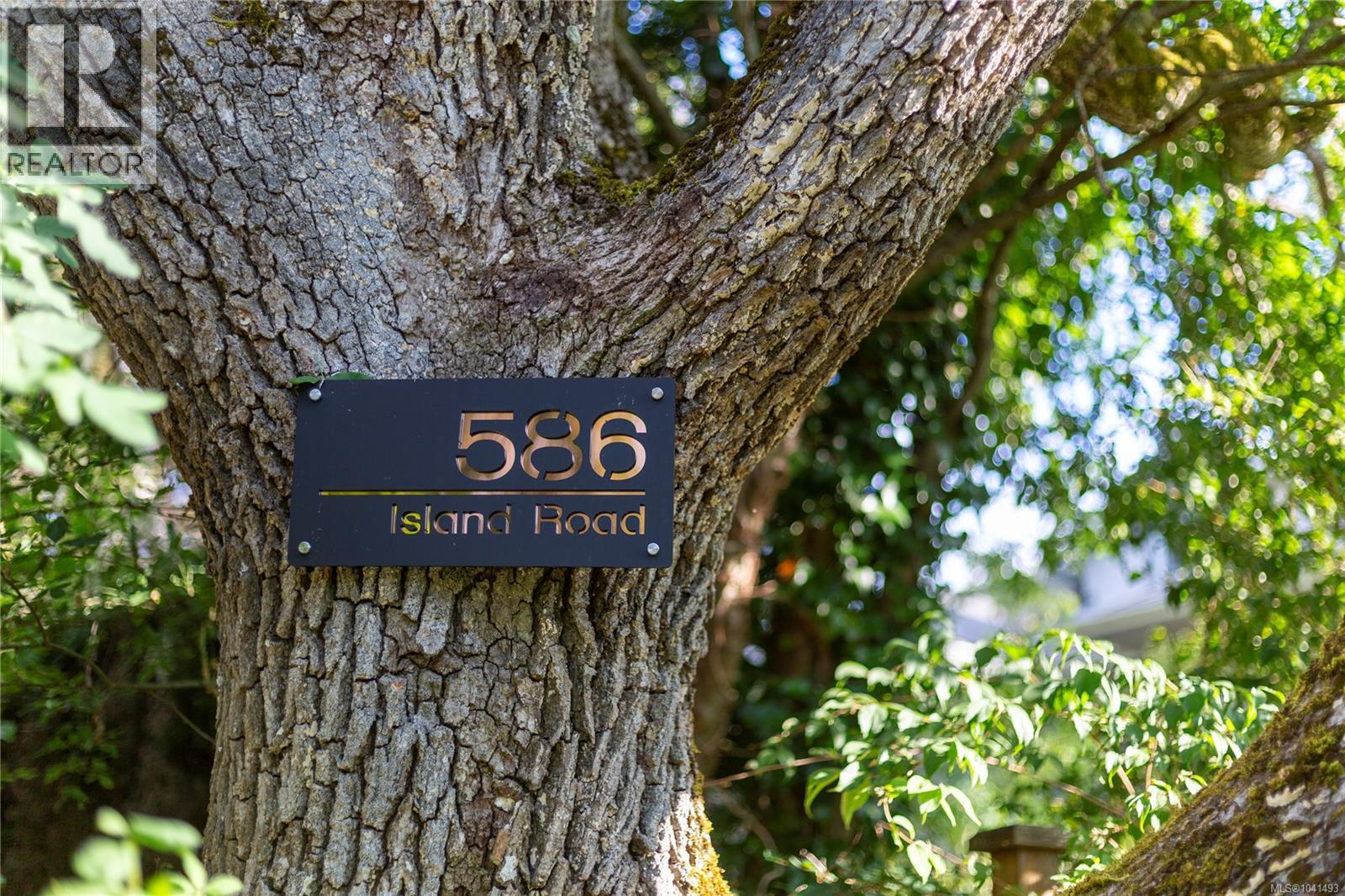 586 Island Rd - 57