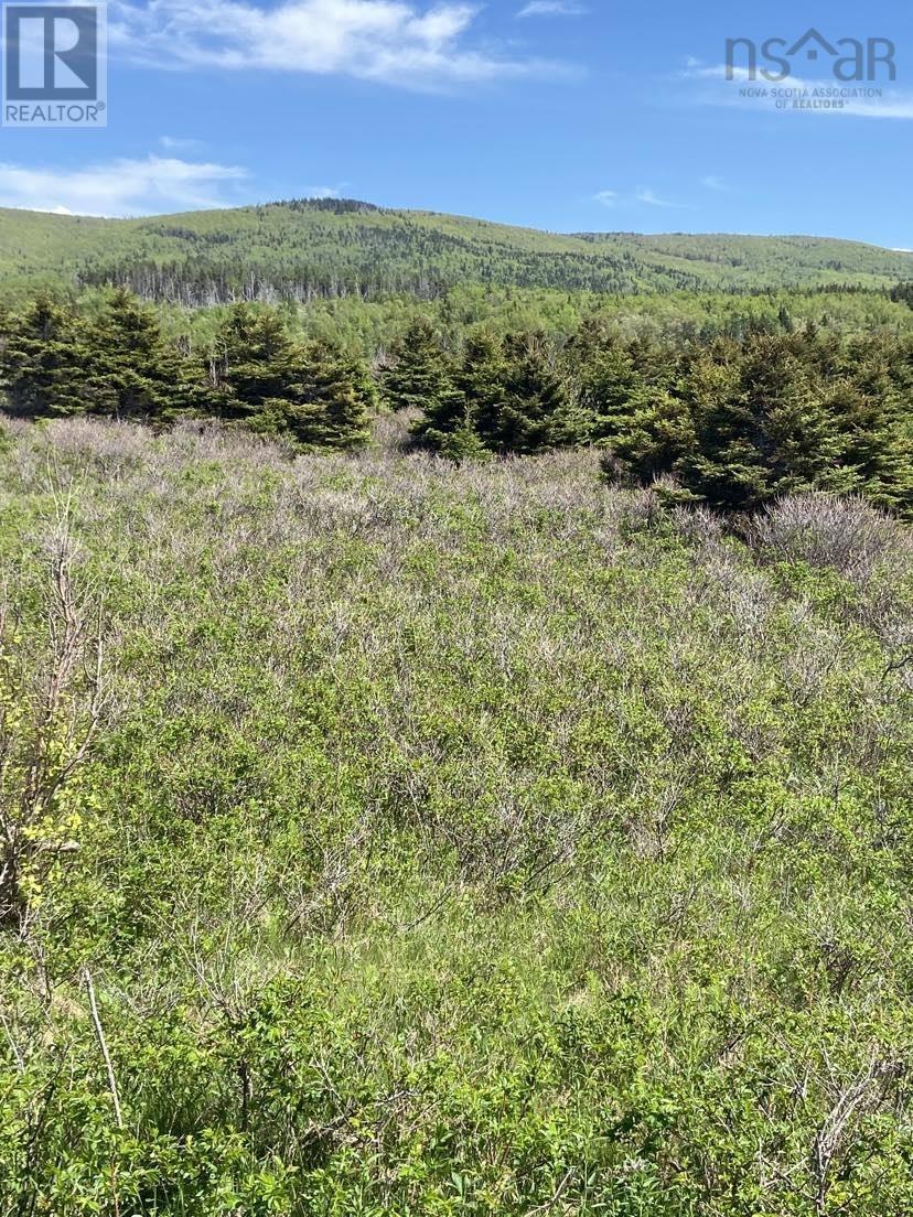 Property 3 of 9 of Cabot Trail