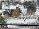 #703 20 FOREST MANOR ROAD - 25