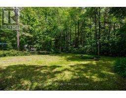 189 Park Road, Tiny, ON L0L1P1 Photo 27