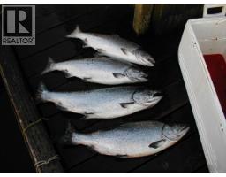Lot 5 328 Winter Harbour Rd, Winter Harbour, BC V0N3L0 Photo 9