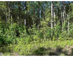 Township Rd 654 Lac La Biche County, Rural Lac La Biche County, AB T0A0R0 Photo 18
