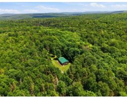 267 Ch. Du Rang-a, Otter Lake, QC J0X2P0 Photo 44
