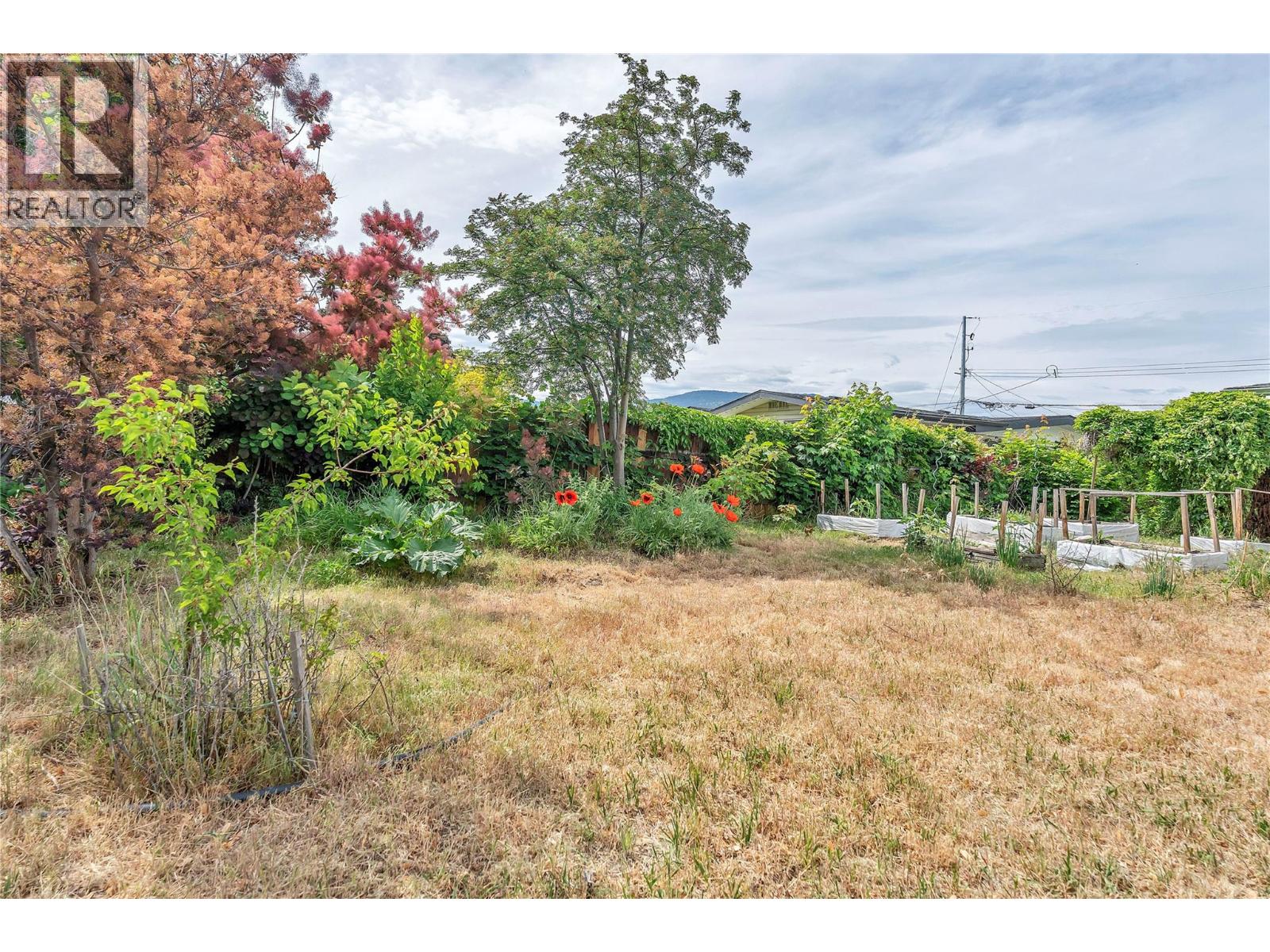 146 McCulloch Drive - 28