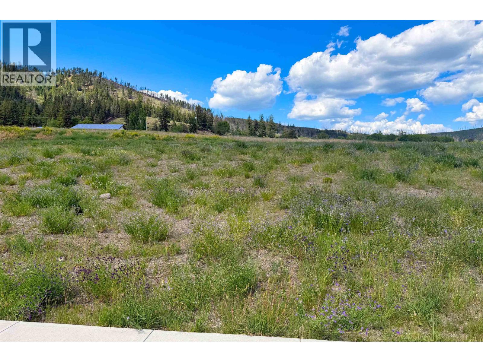 LOT 163 2524 GOPHER DRIVE, Williams Lake — photo 2