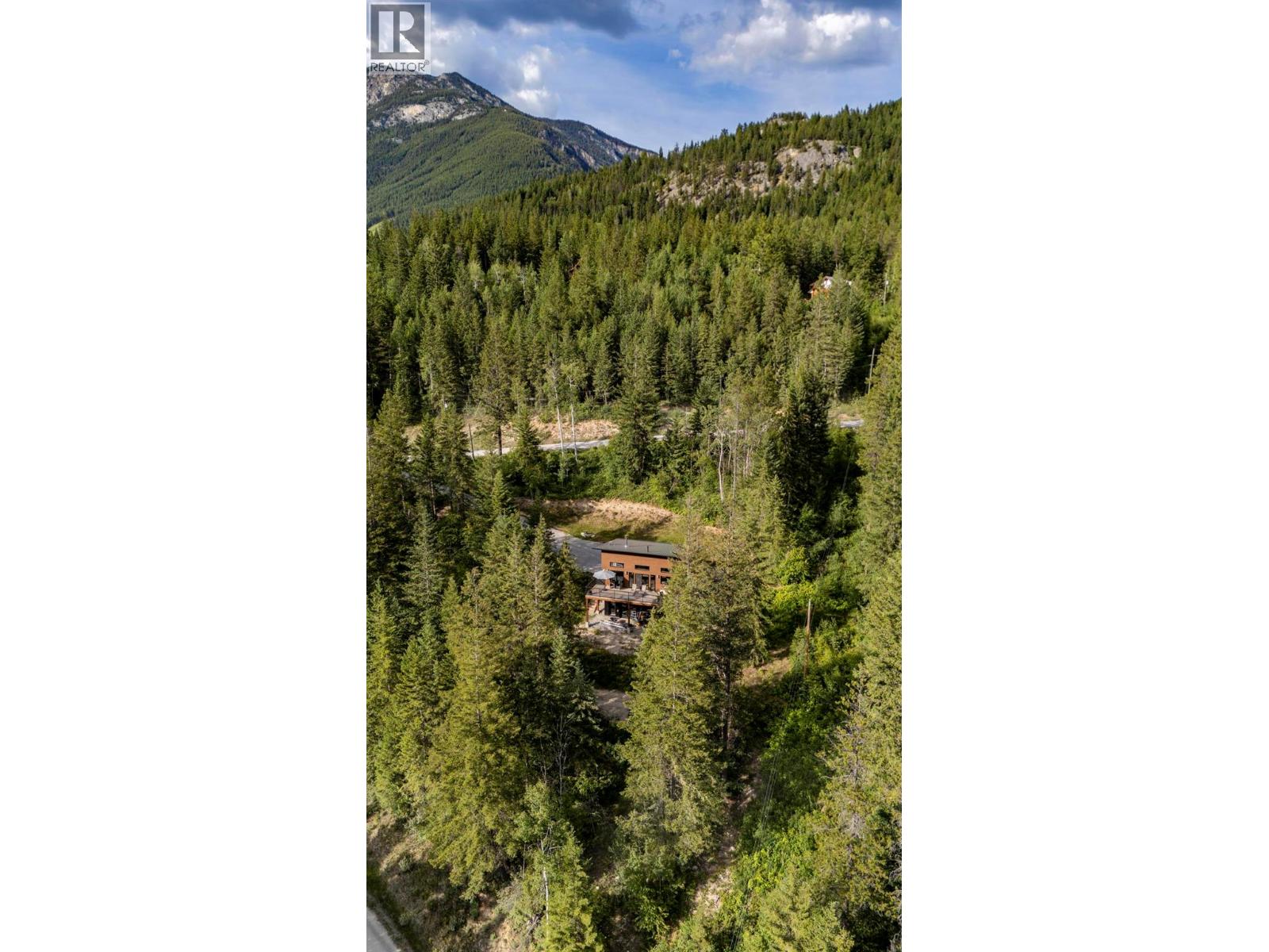 1414 Black Bear Drive - 45