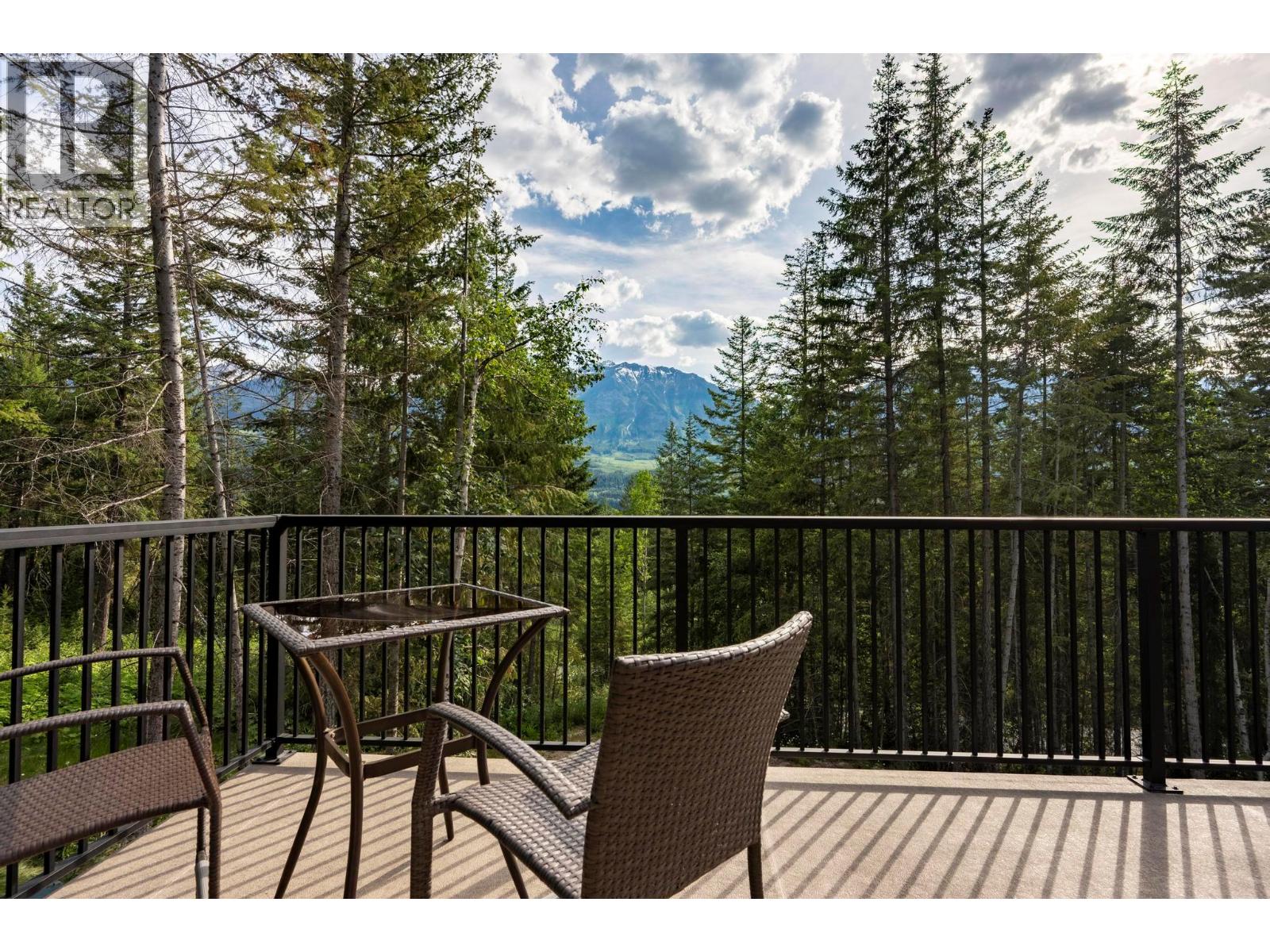 1414 Black Bear Drive - 51