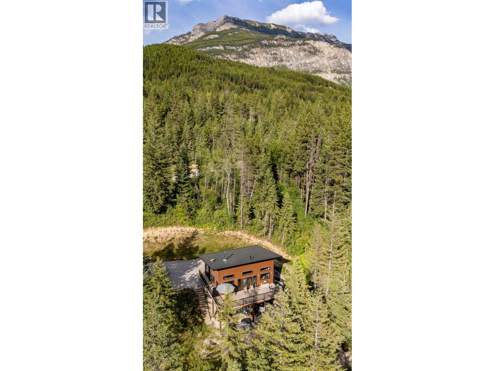 1414 Black Bear Drive - 46