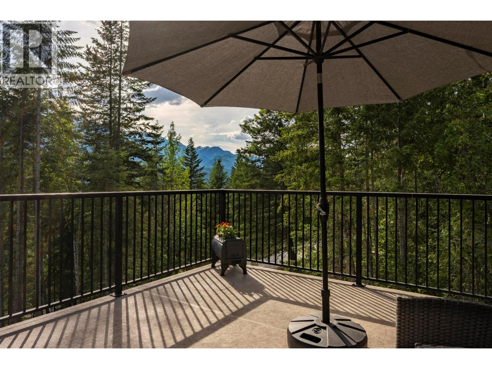 1414 Black Bear Drive - 48