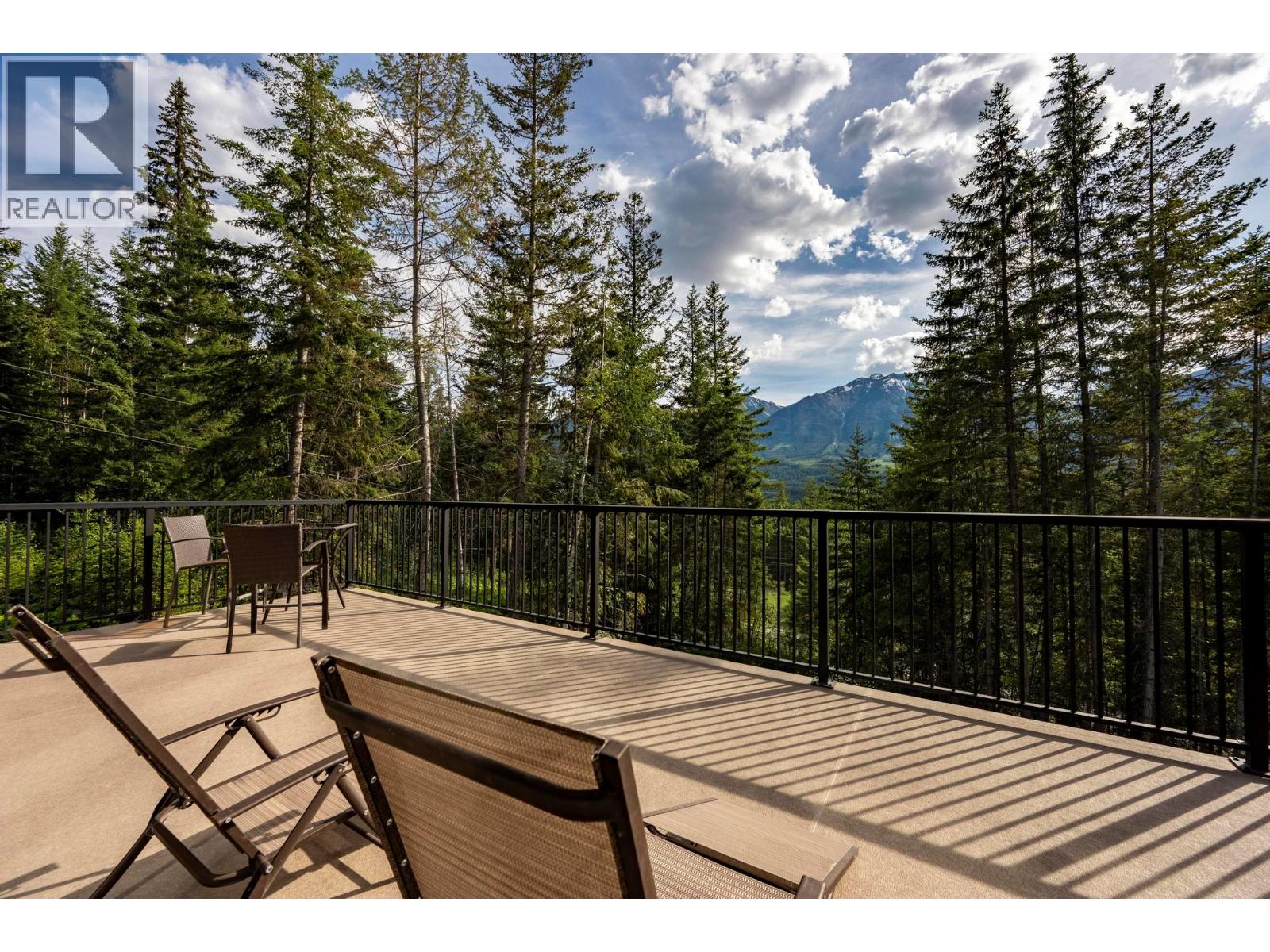 1414 Black Bear Drive - 49