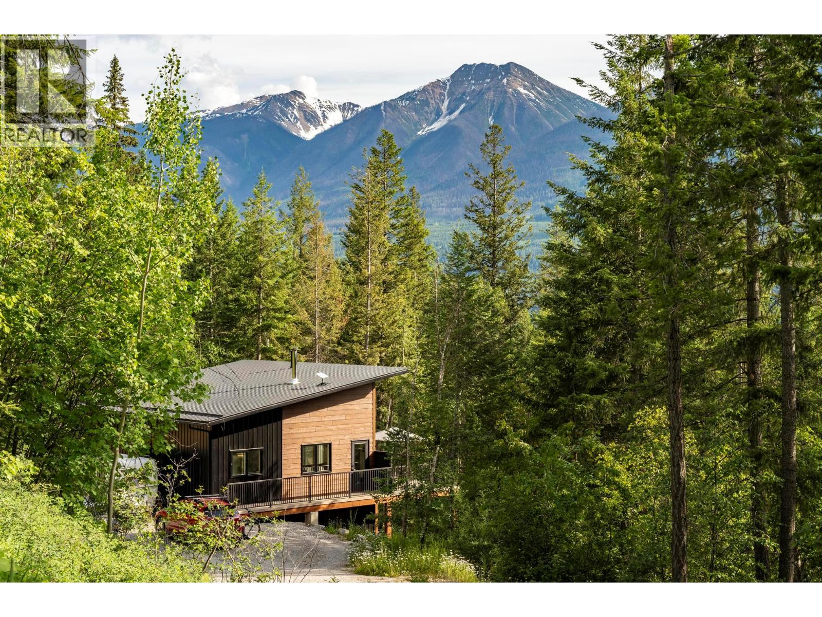 1414 Black Bear Drive - 64