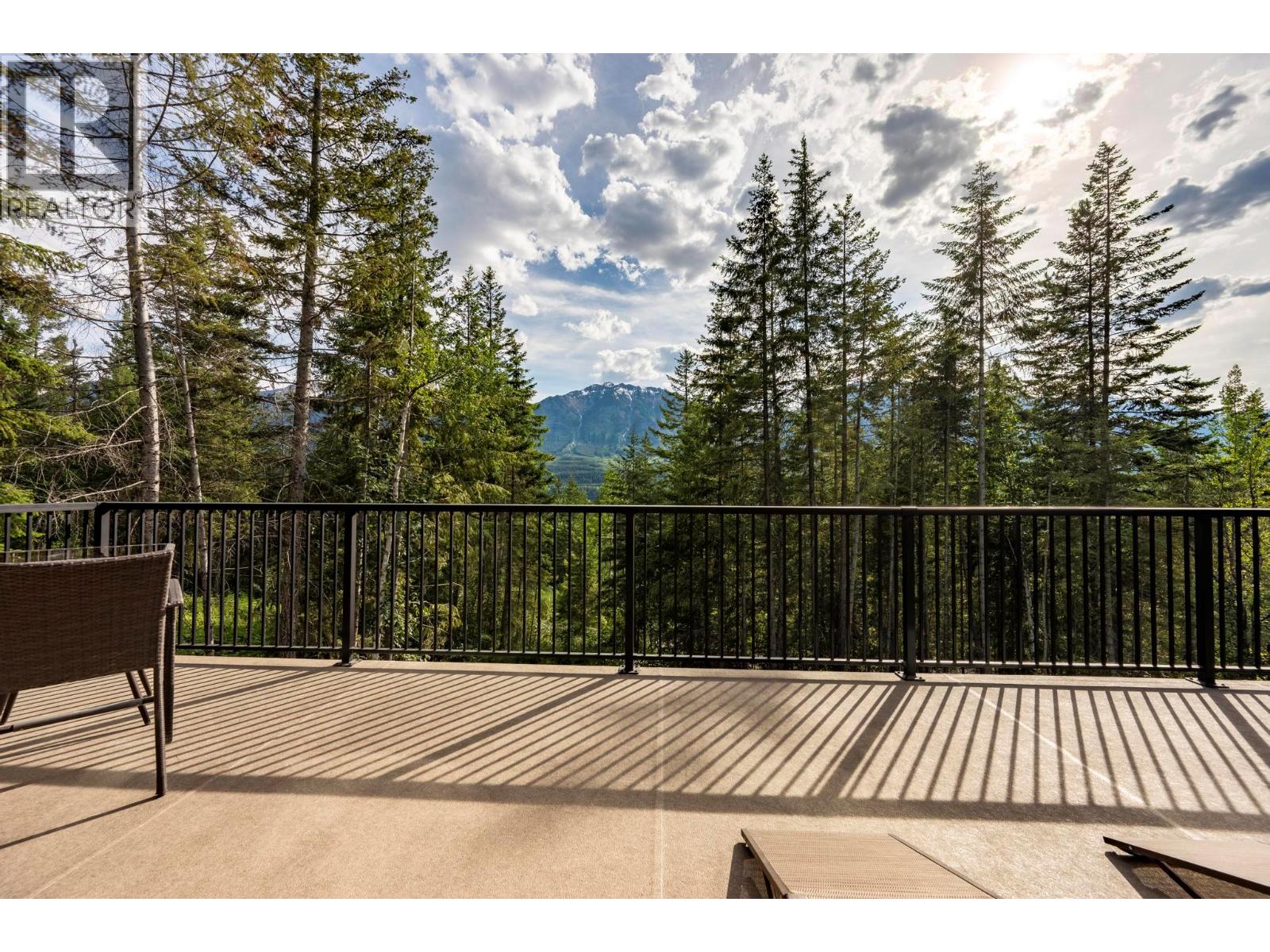 1414 Black Bear Drive - 50