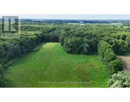 165996 New Road, Norwich, ON N0E1W0 Photo 8