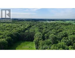165996 New Road, Norwich, ON N0E1W0 Photo 9
