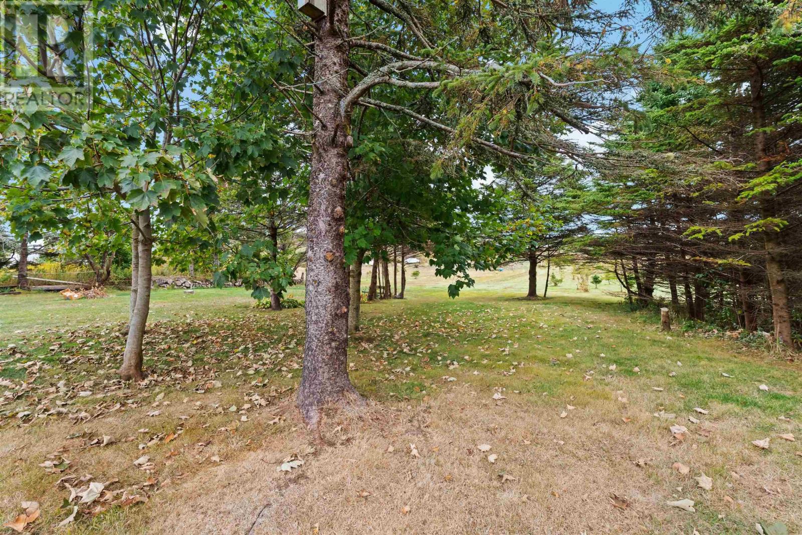 31 Overcove Road - 44