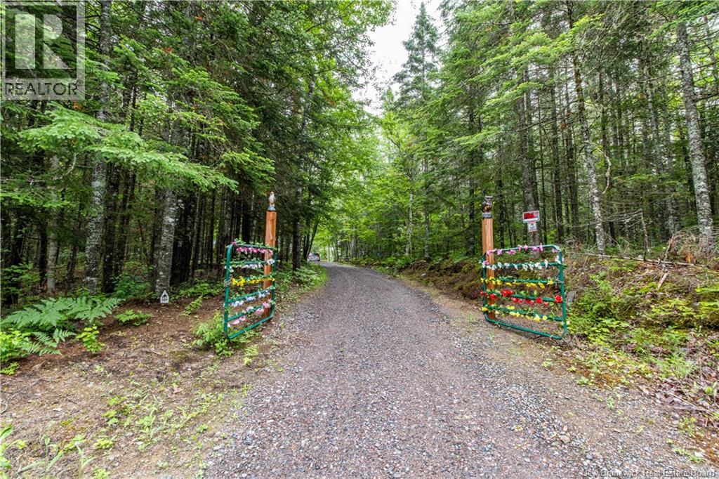 76 Back Road - Image 3