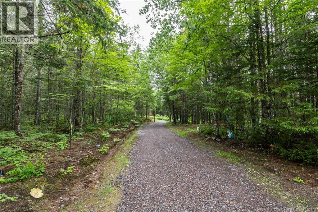 76 Back Road - 26