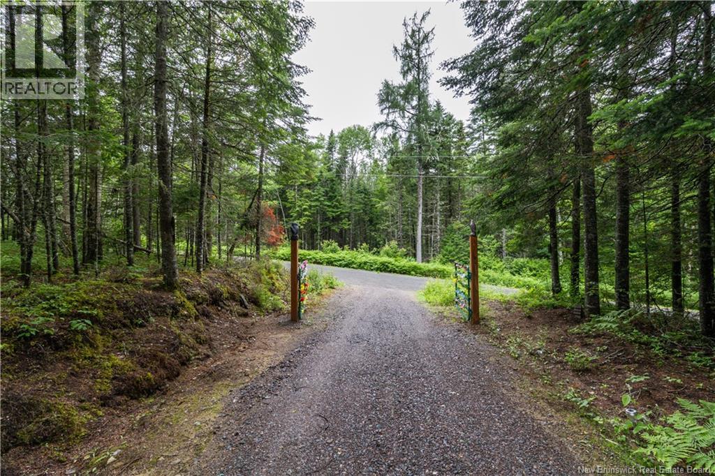76 Back Road - Image 27