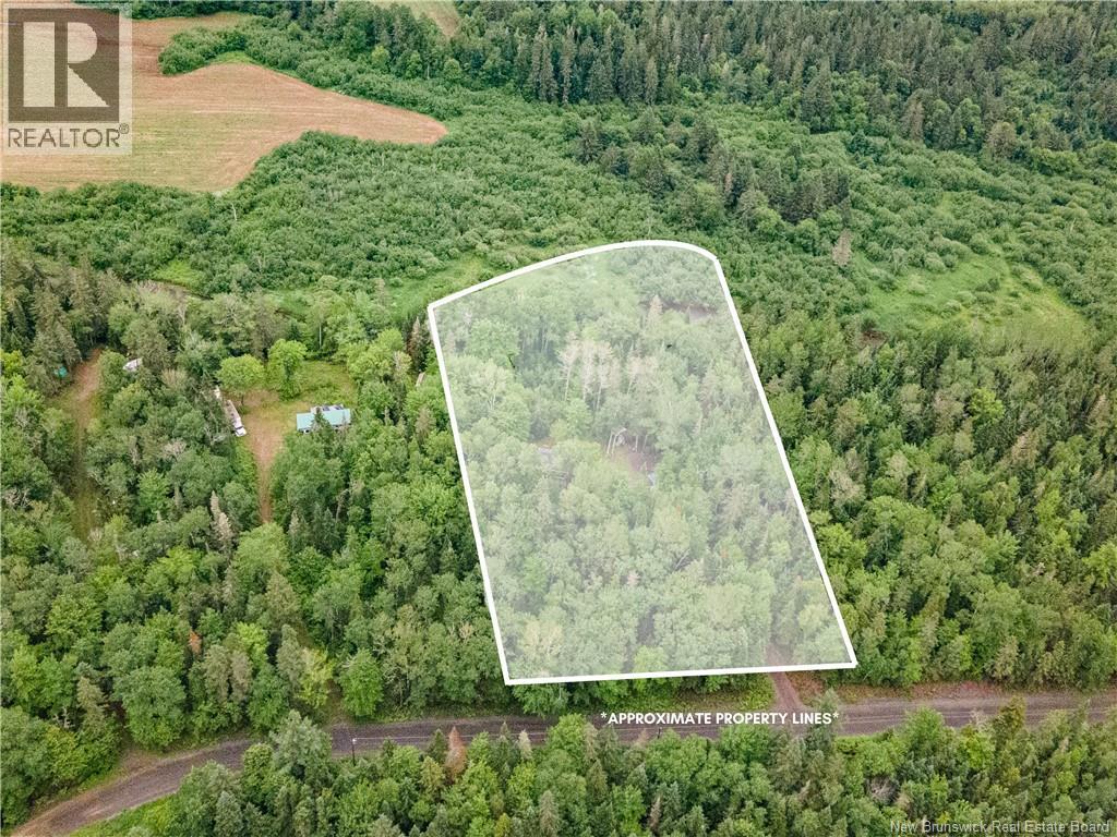 76 Back Road - Image 4