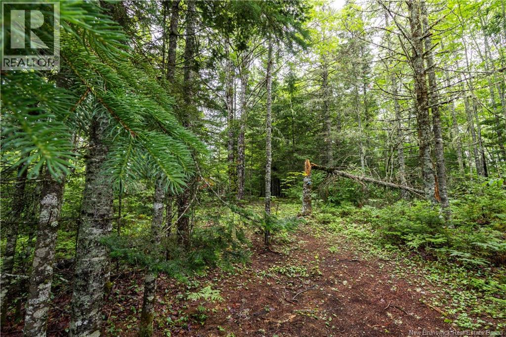 76 Back Road - Image 25