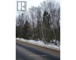 Lot 50 Cape Hurd Road, Northern Bruce Peninsula, ON N0H2R0 Photo 12