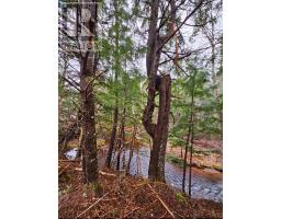 Lot 25-3 Highway #368, Wentworth, NS B0M1Z0 Photo 14