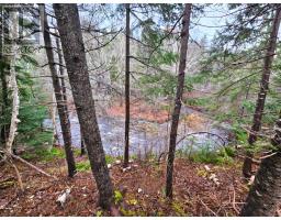 Lot 25-3 Highway #368, Wentworth, NS B0M1Z0 Photo 18