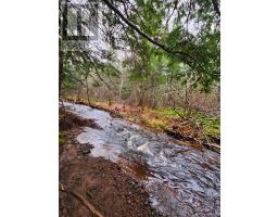 Lot 25-3 Highway #368, Wentworth, NS B0M1Z0 Photo 15