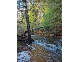 Lot 25-3 Highway #368, Wentworth, NS B0M1Z0 Photo 8