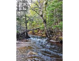Lot 25-4 Highway #368, Wentworth, NS B0M1Z0 Photo 11
