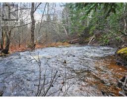 Lot 25-4 Highway #368, Wentworth, NS B0M1Z0 Photo 19