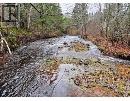 Lot 25-4 Highway #368, Wentworth, NS B0M1Z0 Photo 16