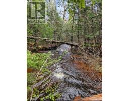 Lot 25-3 Highway #368, Wentworth, NS B0M1Z0 Photo 9