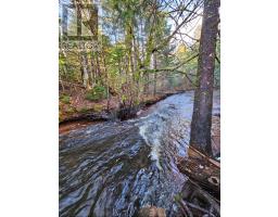 Lot 25-4 Highway #368, Wentworth, NS B0M1Z0 Photo 10