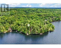 1053 East Walker Lake Drive, Lake Of Bays, ON P1H2J6 Photo 43