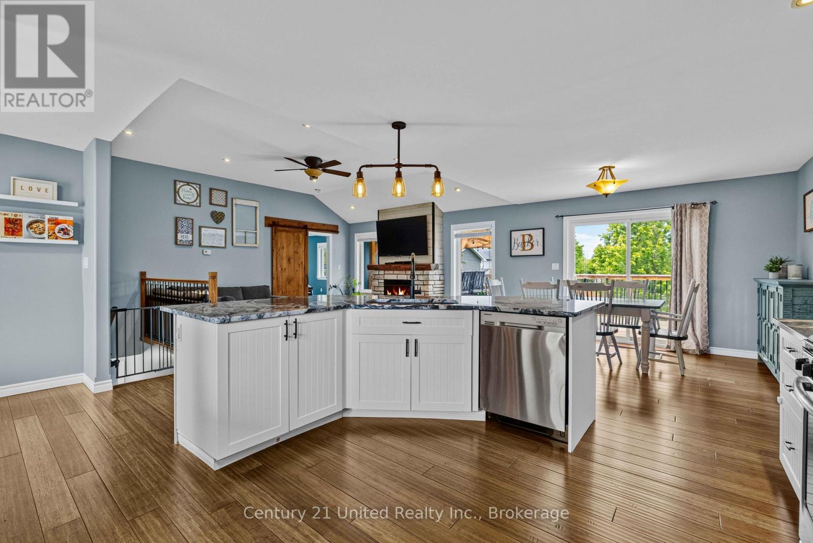 929 MOUNT PLEASANT ROAD - 4