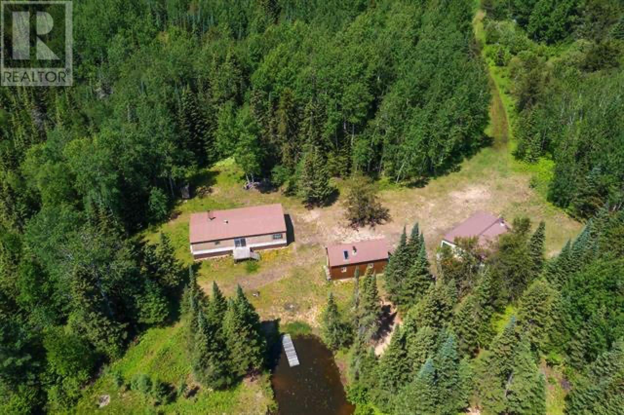 1 Bear Camp - 1