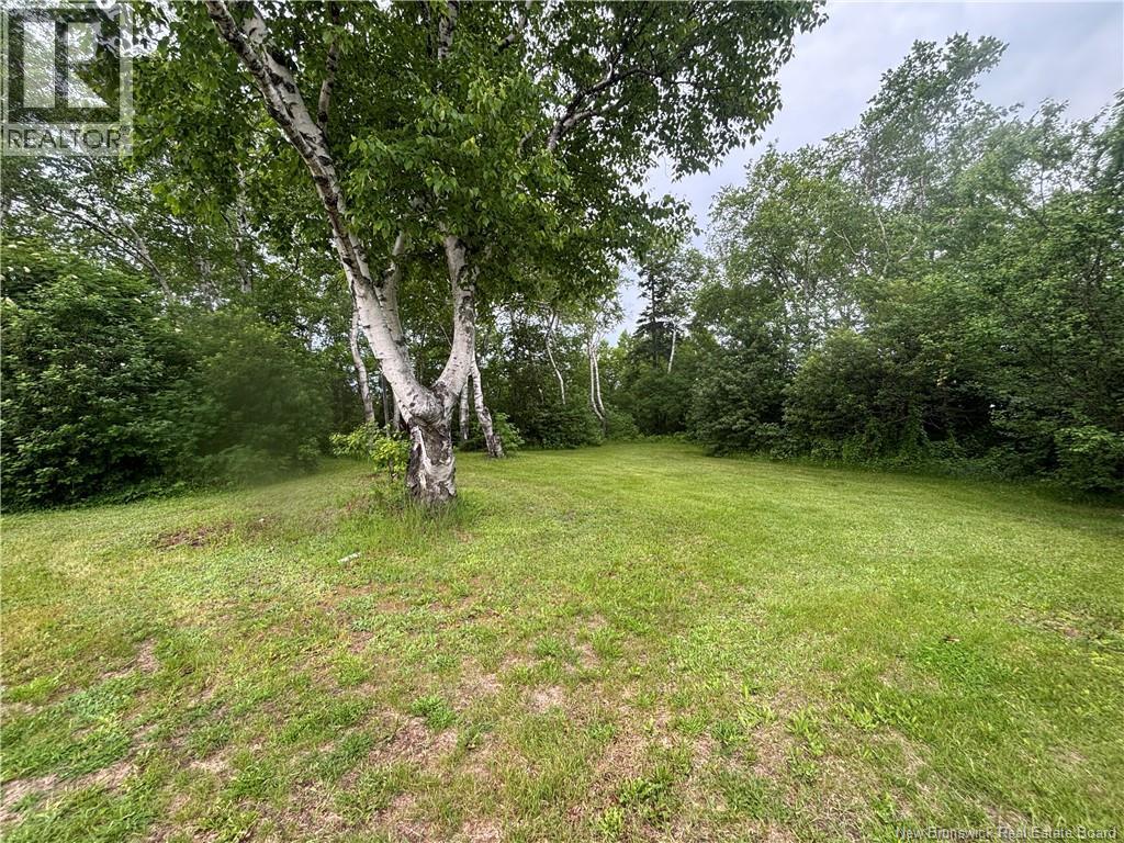 2182 Main Street - 5