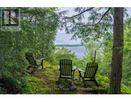 5017 Kawagama Lake Road, Algonquin Highlands, ON P0A1E0 Photo 14