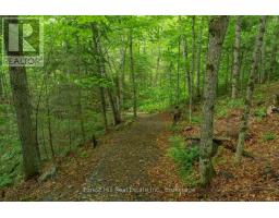 5017 Kawagama Lake Road, Algonquin Highlands, ON P0A1E0 Photo 6