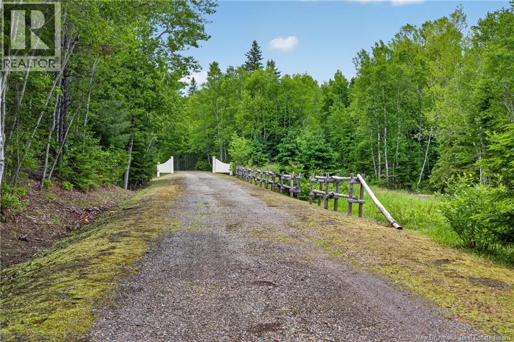 25.6 acres route 160 - Image 4