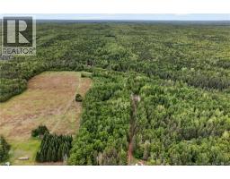 / Blvd Des Fondateurs, Saint Isidore, NB E8M1G7 Photo 38