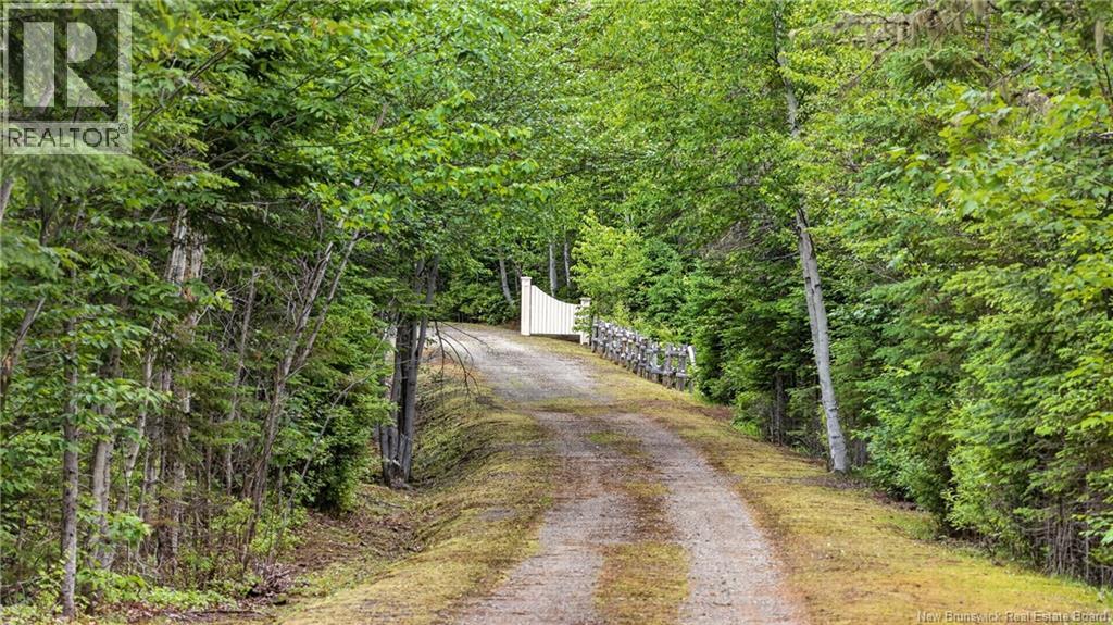 25.6 acres route 160 - Image 45