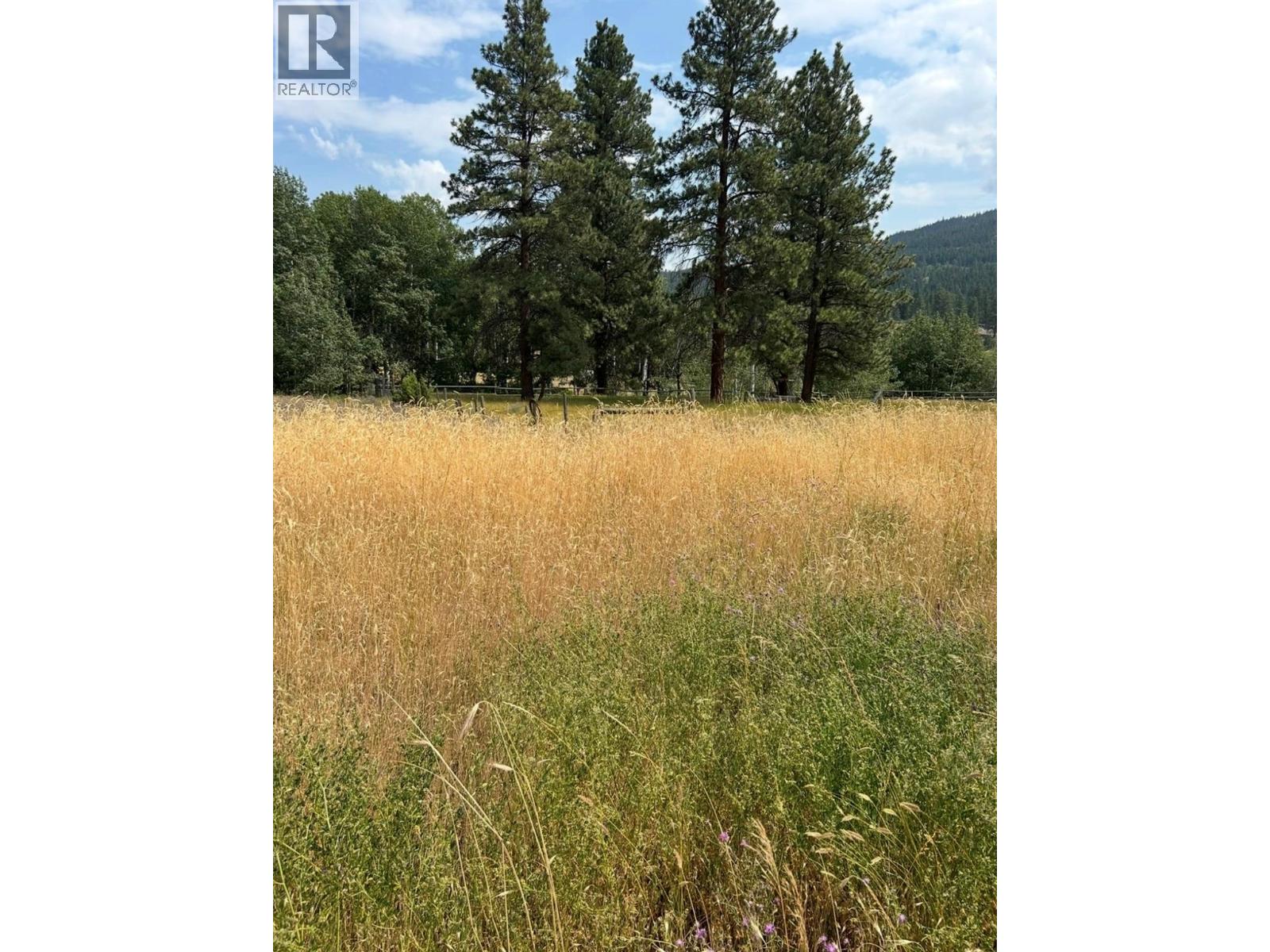 895 Coldwater Road - 77